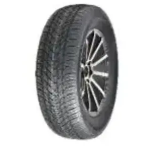 Royal Black Pneu Royal Black Winter HP ( 165/60 R14 75T ) pas cher