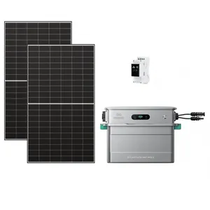 Zendure SolarFlow 800 Pro 2 + Compteur 3CT + 2x 500W Panneau Bifacial - Kit Solaire Balcon 800W - AC 1000W - Gestion IA