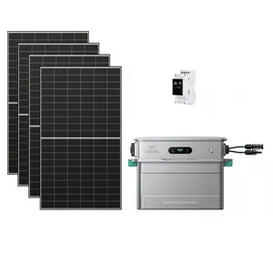 Zendure SolarFlow 800 Pro 2 + Compteur 3CT + 4x 500W Panneau Bifacial ...