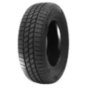 Delinte AW6 VAN 215/70 R15 109/107S pas cher