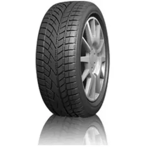Evergreen Pneu Evergreen EW66 ( 295/35 R21 107V XL ) pas cher