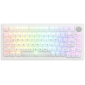 AKKO 5075B Plus Shine - Through RGB Draadloos Hotswap Mechanisch Gaming Toetsenbord
