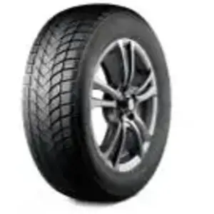 Landsail WINTER LANDER 205-55R16 91H - Pneu auto Tourisme Hiver pas cher