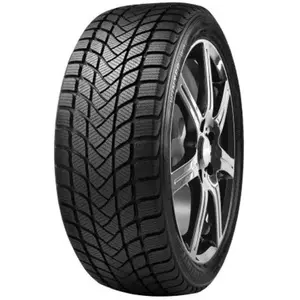 Delinte WD6 205-55R17 95H - Pneu auto Tourisme Hiver pas cher