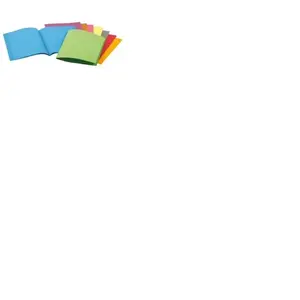 Rainex - Chemises Dossiers 220g 24x32 Framboise - Paquet De 100 pas cher