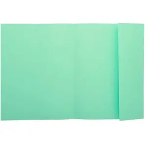 Rainex - Chemise 1 Rabat 160g 24x32 Vert - Paquet De 50 pas cher