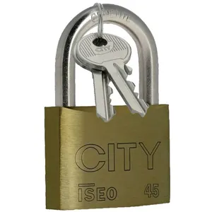 Cadenas - ISEO - CITY 60 - Corps laiton massif - Anse acier cémenté nickelée - Mécanisme 5G anti-crochetage pas cher