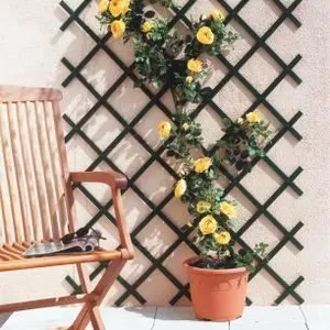 Comparateur de prix : Nortene Treillis De Jardin En Plastique Trelliflex 1x2 M