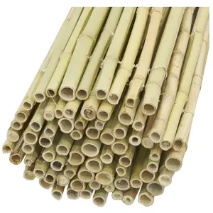 Brise vue en bambou - AUBRY GASPARD - Canisse 1m x 1.8m - Diamètre 15mm à 20mm - Livrée avec sac de transport pas cher