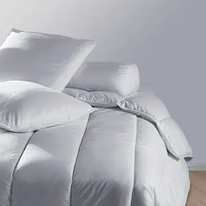 Coussin de Garnissage Non tissé - 40 x 40 - 250grs - MORTREUX pas cher