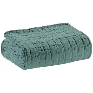 VIVARAISE, Couverture, Wohndecke Plaid SWAMI Lichen (130 x 200 cm) pas cher