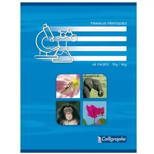 Cahier travaux pratiques piqures Clairefontaine 17x22 ( grand carreaux 70g + dessin) 48p pas cher