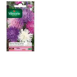 VILMORIN Reine marguerite Plume d'Autruche variée