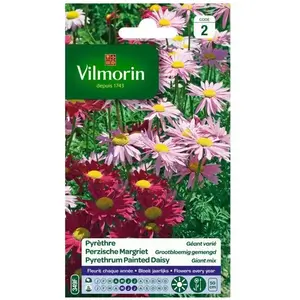 VILMORIN Pyrethre géant varié