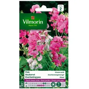 VILMORIN Pois vivace varié pas cher