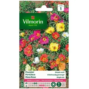 VILMORIN Pourpier a grande fleur simple varié pas cher