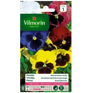 VILMORIN Pensée géante Suisse variée