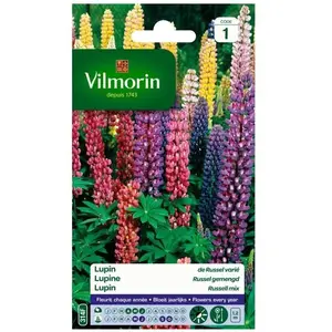 VILMORIN Lupin de Russel varié pas cher