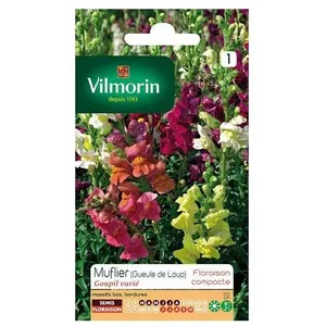 VILMORIN Muflier Goupil varié pas cher