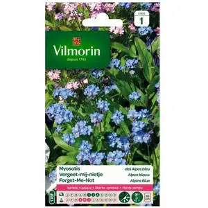 VILMORIN Myosotis des Alpes bleu pas cher