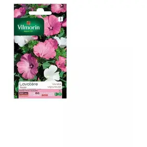 VILMORIN Lavatère à grande fleur variée pas cher