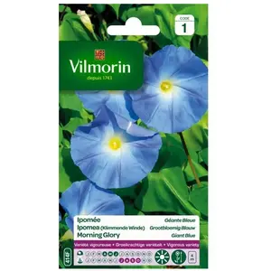 VILMORIN Ipomée à grande fleur bleue