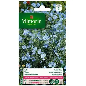 VILMORIN Lin vivace bleu pas cher