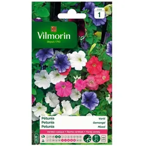 VILMORIN Petunia varié pas cher