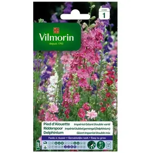 VILMORIN Pied d'Alouette Imperial géant double varié