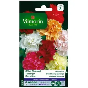 VILMORIN Oeillet géant Chabaud varié pas cher