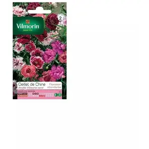 VILMORIN Oeillet de Chine double Vilmorin varié