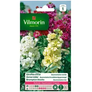 VILMORIN Giroflée Quarantaine a grandes fleurs variées pas cher