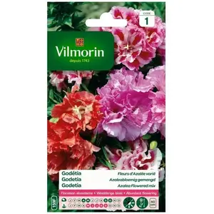VILMORIN Godetia double a fleur d’azalée varié pas cher