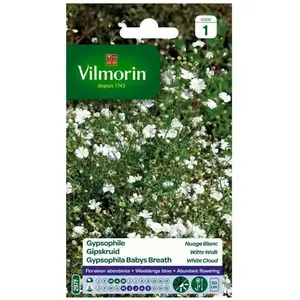Gypsophile Nuage blanc - VILMORIN - Variété à floraison abondante - Fleurs blanches fines et légères
