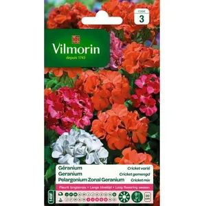 VILMORIN Géranium Cricket varié