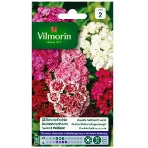 VILMORIN Oeillet de Poete double Pationata varié pas cher