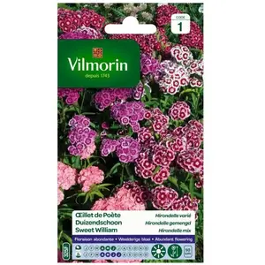VILMORIN Oeillet de Poete Hirondelle varié pas cher