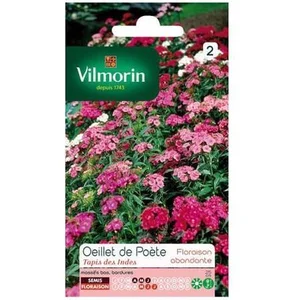 VILMORIN Oeillet de Poete Tapis des Indes pas cher