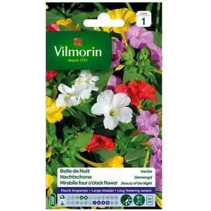 VILMORIN Belle de nuit variée