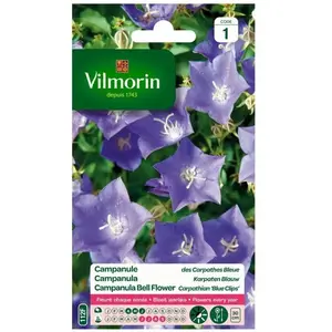 VILMORIN Campanule des Carpathes bleue pas cher