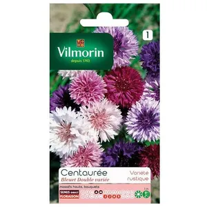 VILMORIN Centaurée bleuet double variée