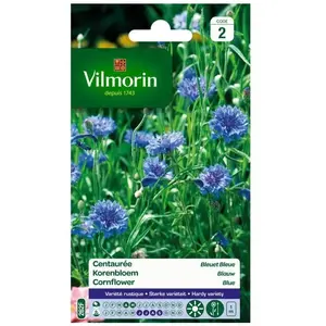 VILMORIN Centaurée bleuet double bleue pas cher