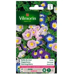VILMORIN Belle de jour variée