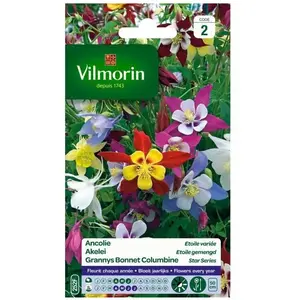 VILMORIN Ancolie étoile variée