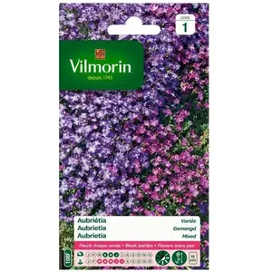 VILMORIN Aubrietia varié pas cher