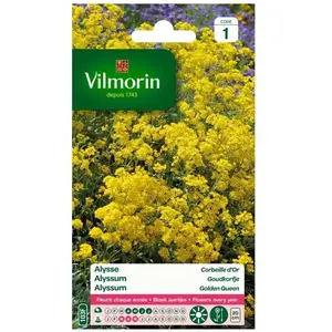 VILMORIN Alysse Corbeille d’Or