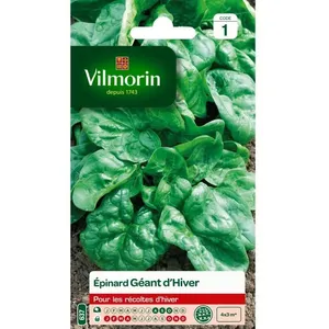 VILMORIN Epinard géant d’Hiver