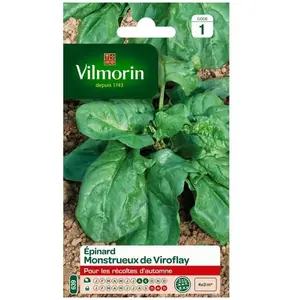 VILMORIN Epinard monstrueux de Viroflay
