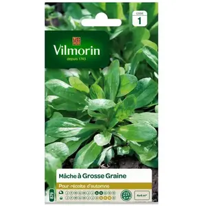 VILMORIN Mâche a grosse graine