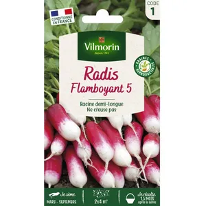 VILMORIN Radis Flamboyant pas cher